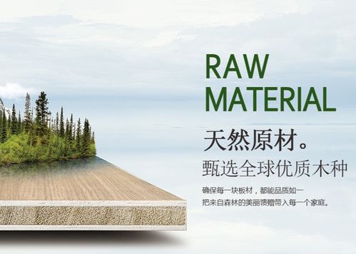 環保創新雙驅動，天山板材書寫發展輝煌新篇