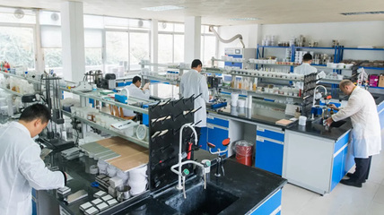 環(huán)保技術(shù)創(chuàng)新引領(lǐng)未來(lái)，嘉寶莉家具漆榮獲“2020中國(guó)家居優(yōu)秀企業(yè)巡禮榮譽(yù)企業(yè)”稱號(hào)