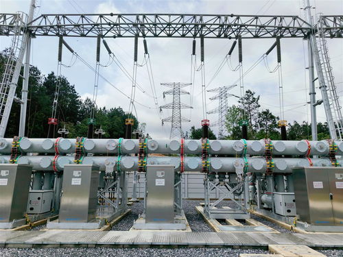 體積小 重量輕 可靠性高 咸寧首座220千伏gis智能變電站投產送電